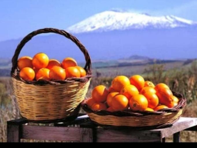 فيلا كالتاجيرونيفي Alla Romana المظهر الخارجي الصورة